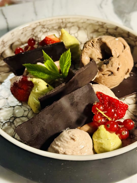 Gastro Acanthus Cennet Barut Collection