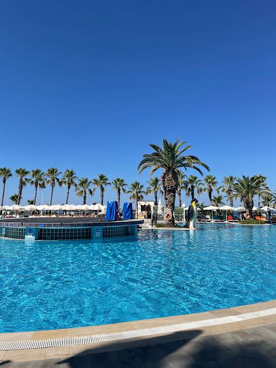 Pool Hotel Botanik Platinum