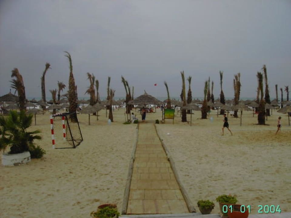 Blick von der Strandbar auf den Strand Hotel Paradis Palace