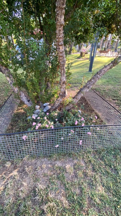 Gartenanlage Club Tuana Fethiye