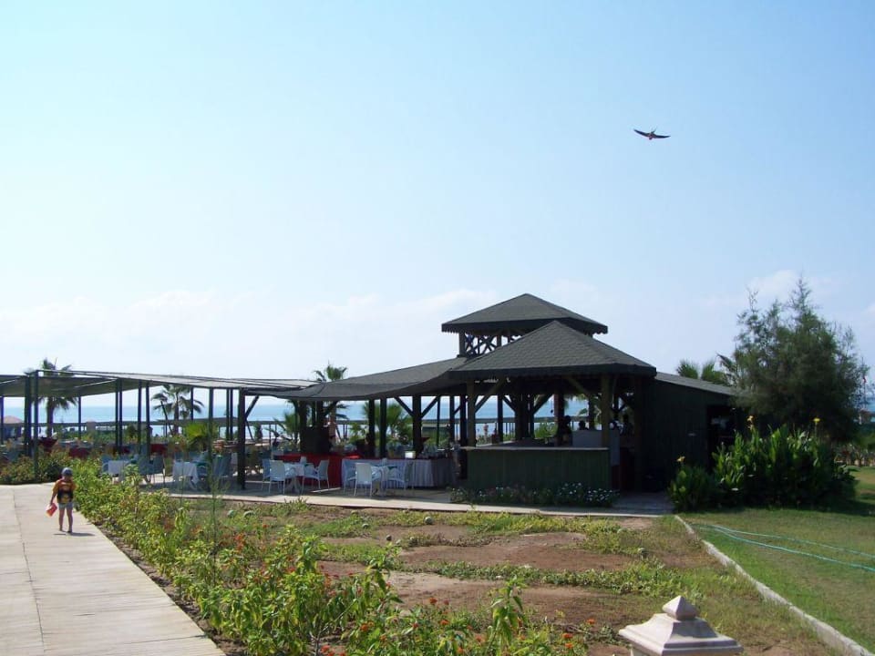 Strandbar Royal Atlantis Beach Hotel