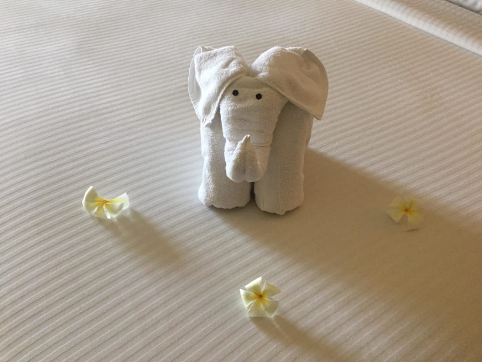 Handtuch-Kunst Hotel Jetwing Beach