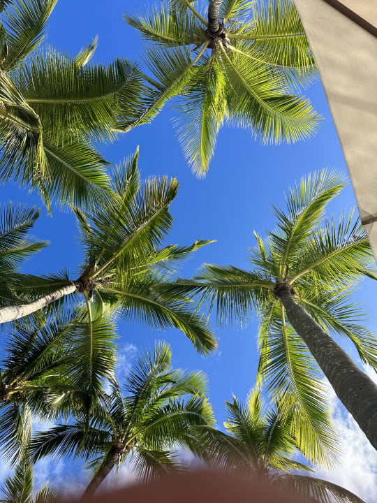 Gartenanlage Le Meridien Ile Maurice