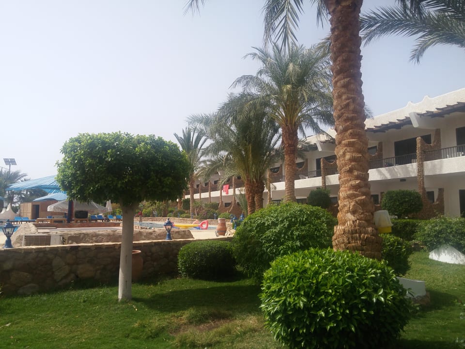 Gartenanlage Turquoise Beach Hotel