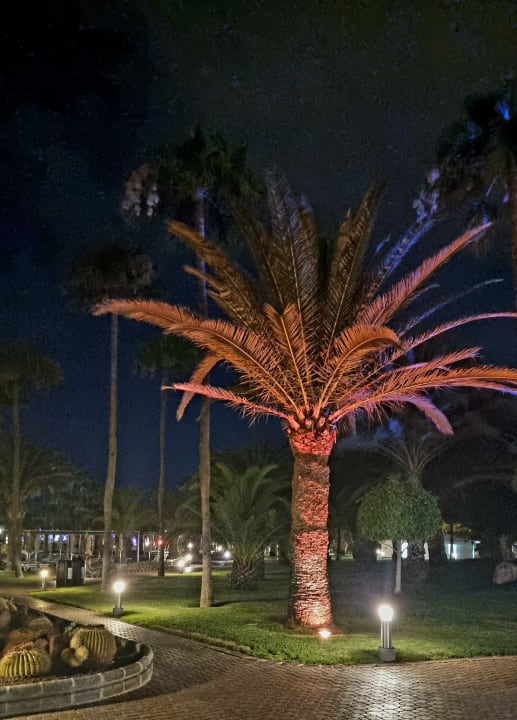 Gartenanlage Hotel Riu Gran Canaria