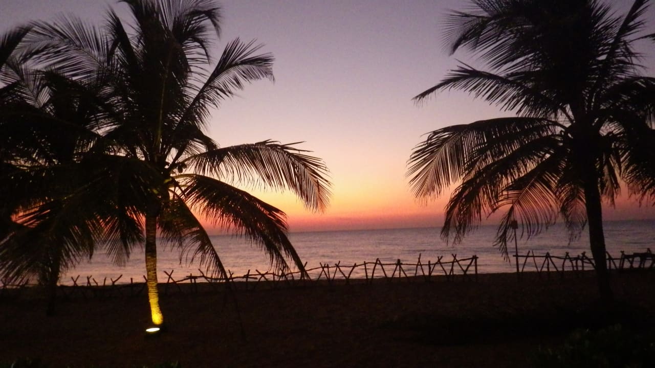 Ausblick Club Hotel Dolphin