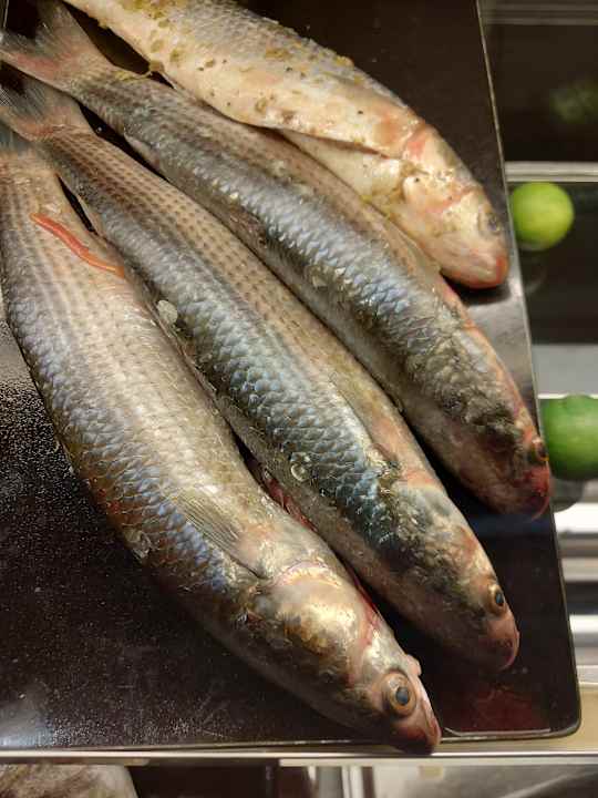 Gastro Ancient Sands Golf Resort