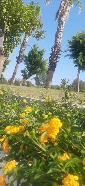 Gartenanlage Hane Sun Elite Hotel