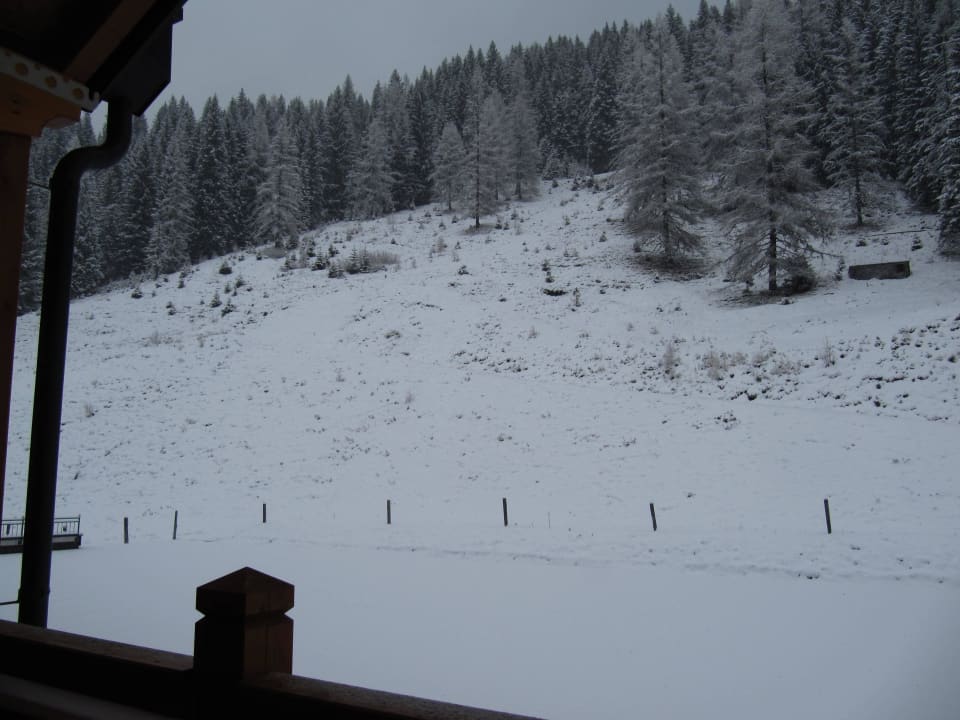 View from the window Hotel Alpenhof
