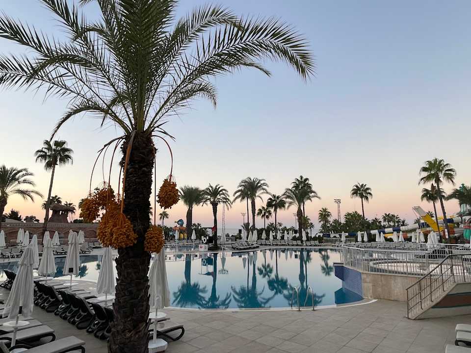 Ausblick Kamelya Aishen Club