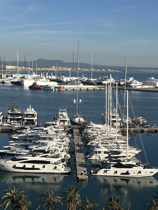 Ausblick Melia Palma Marina