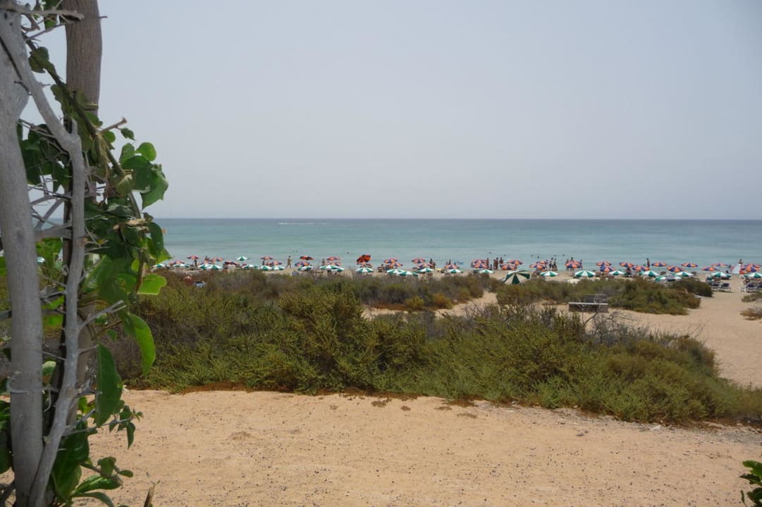 Ausblick von der Strandbar  SBH Hotel Taro Beach