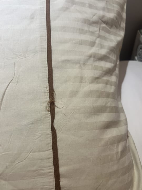 Zimmer The Grand Palace - Adults only