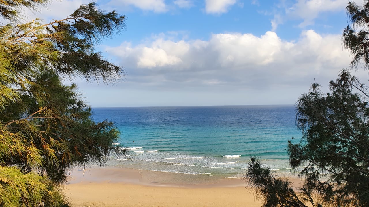 Ausblick Marina Playa Suite Hotel