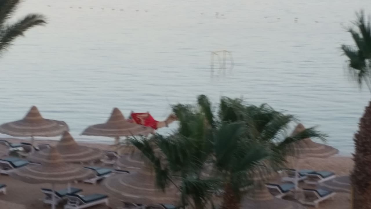 Ausblick Giftun Azur Resort