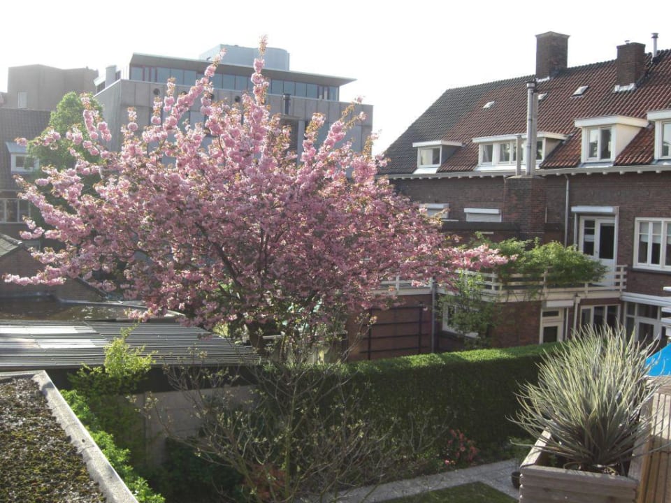 Ausblick vom Balkon Hotel Central