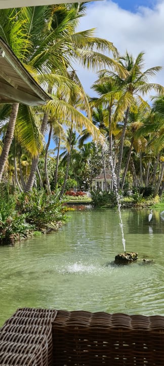 Gartenanlage Catalonia Punta Cana - All Inclusive
