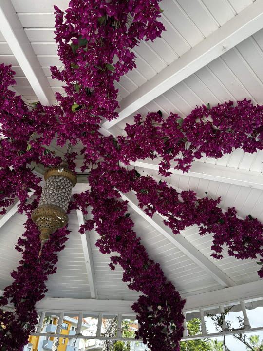 Gartenanlage Hane Family Resort