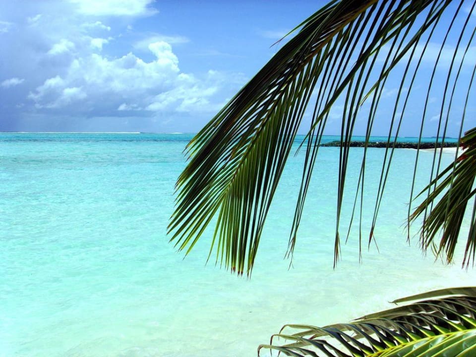 Traumhafter Blick vom Strand Summer Island Maldives