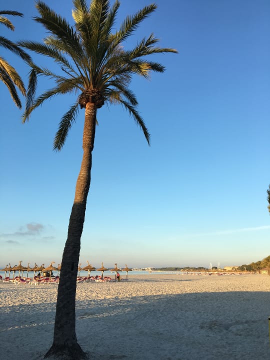 Strand Prinsotel La Dorada