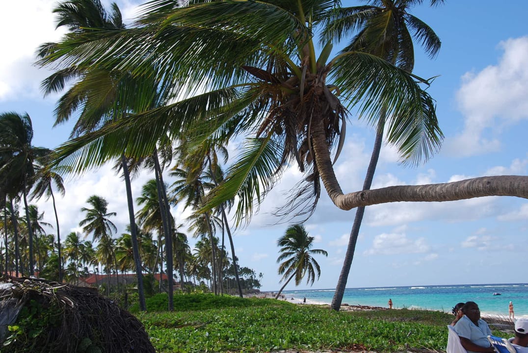 Za hotelem Ambar jest kawałek dzikiej plaży  Bahia Principe Luxury Esmeralda