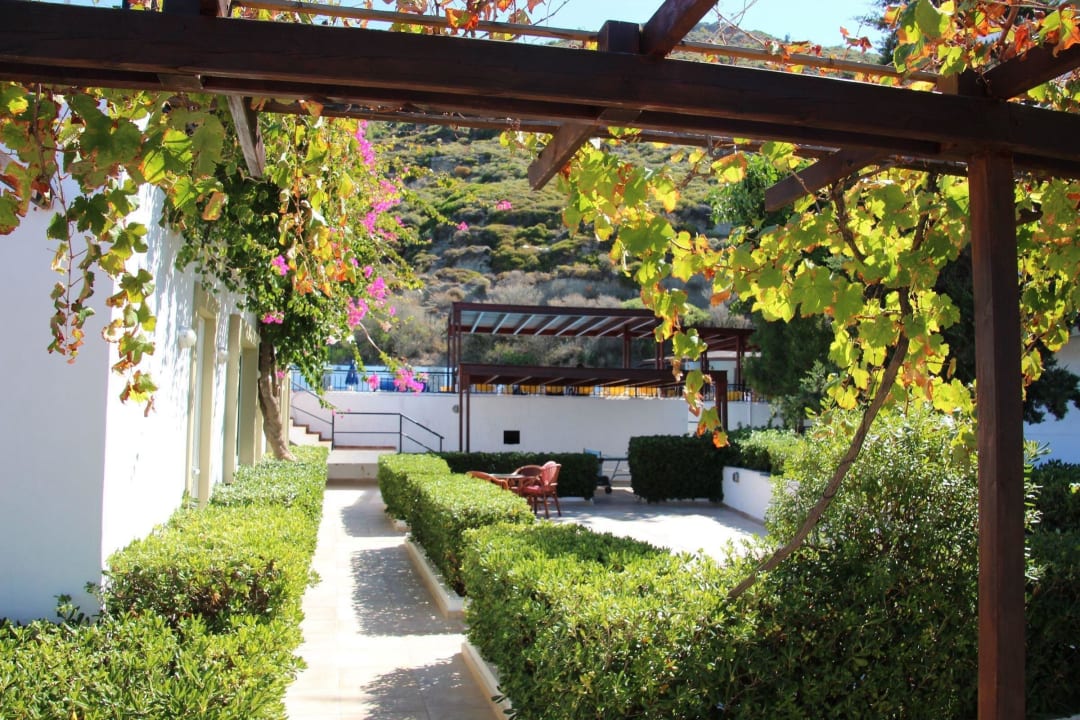 Blick von der Straße in den Garten Hotel Sirene Beach
