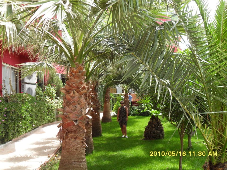 Hotel Aydin Bey Gold Dreams Aydinbey Gold Dreams