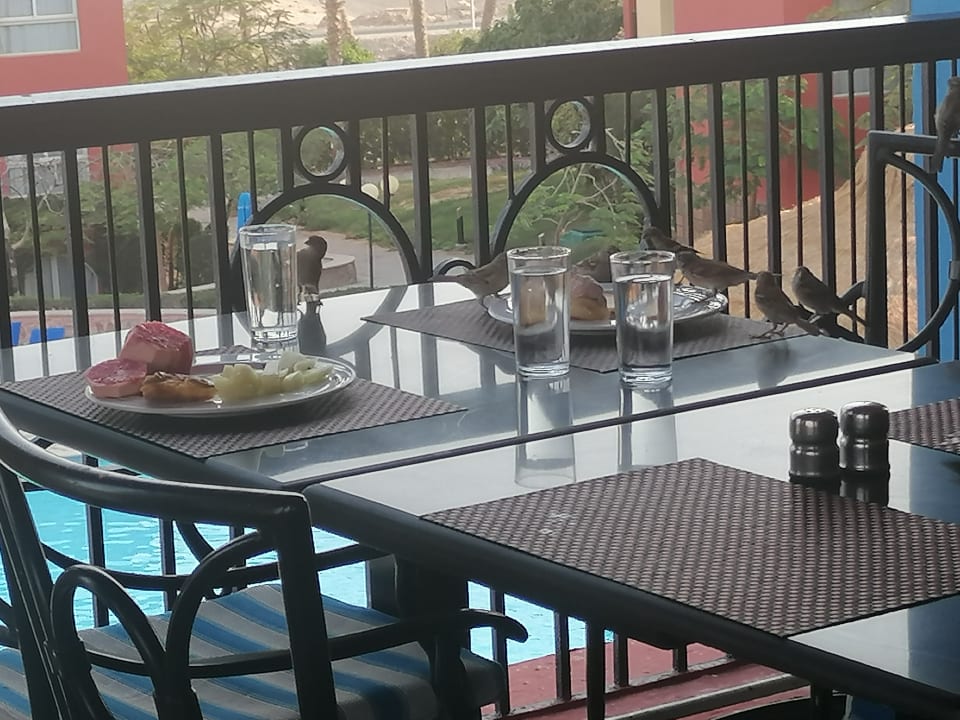 Gastro SUNRISE Cardina Resort