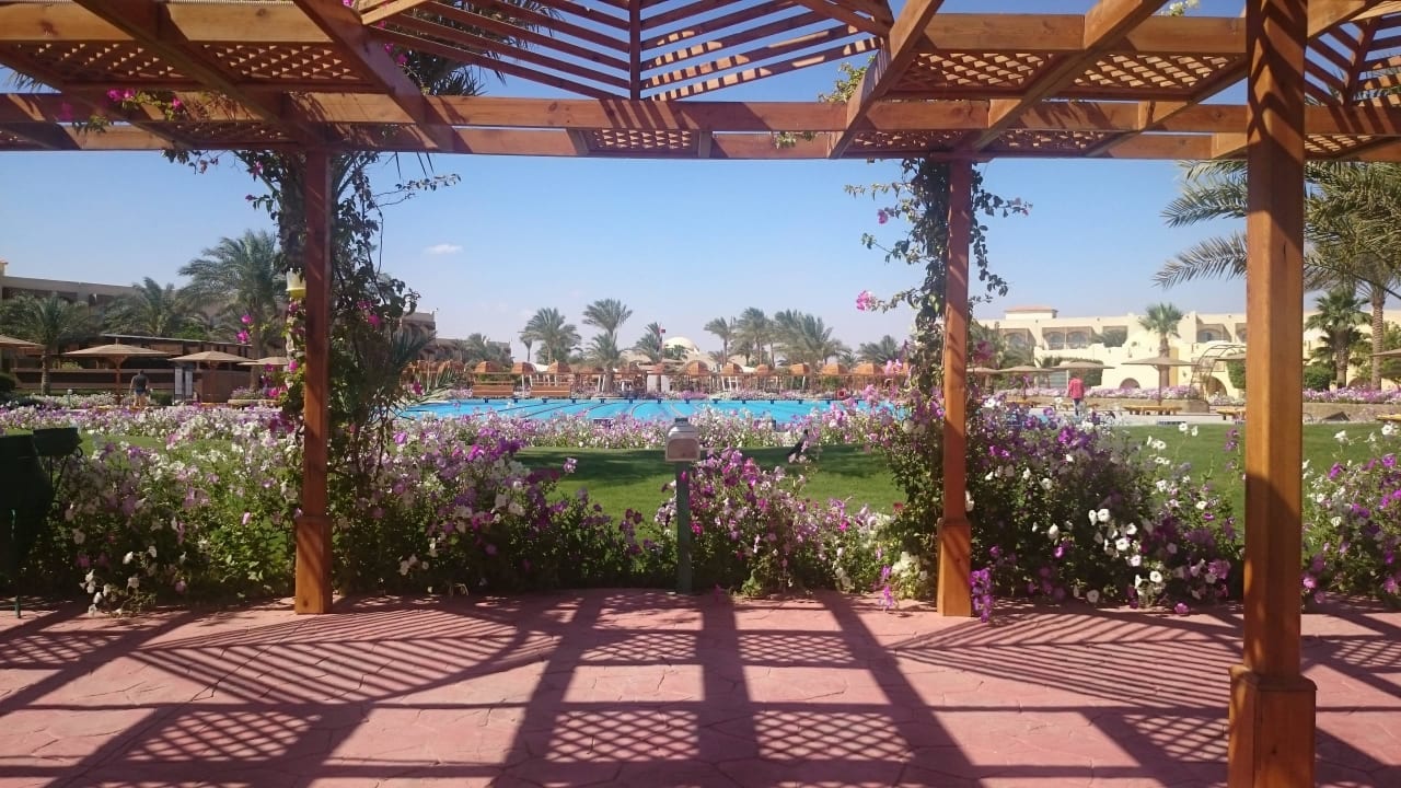 Blick auf einen der Pools Desert Rose