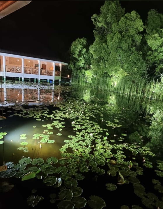 Außenansicht Dreamland The Unique Sea & Lake Resort / Spa