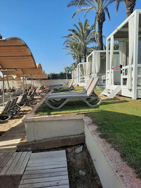 Strand Papillon Ayscha