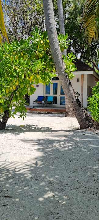 Zimmer Ellaidhoo Maldives by Cinnamon