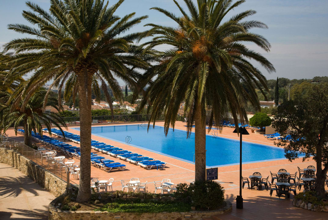 Solarium's pool view / Vista Solarium Piscina Hotel San Carlos