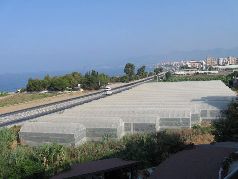 Das war neben unserem Hotel Kırbıyık Resort Hotel - Alanya