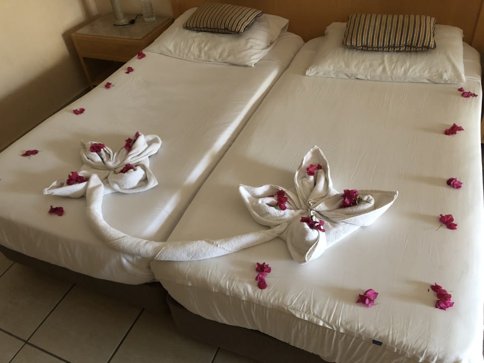 Zimmer Hotel JAZ Makadi Star & Spa