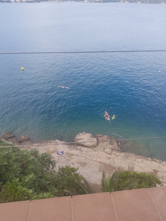 Ausblick Hotel Artiem Carlos III - Adults only