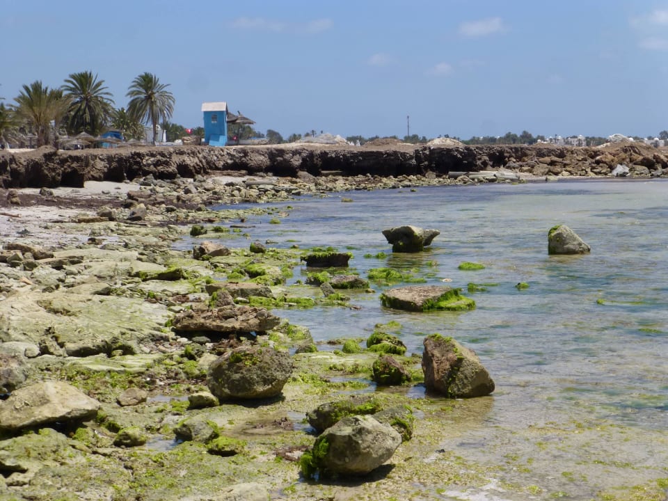 Kein Komentar Hotel El Mouradi Djerba Menzel