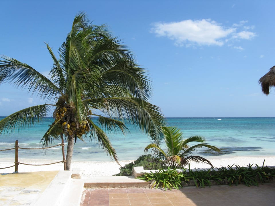 Blick aufs Meer Akumal Bay Beach & Wellness Resort