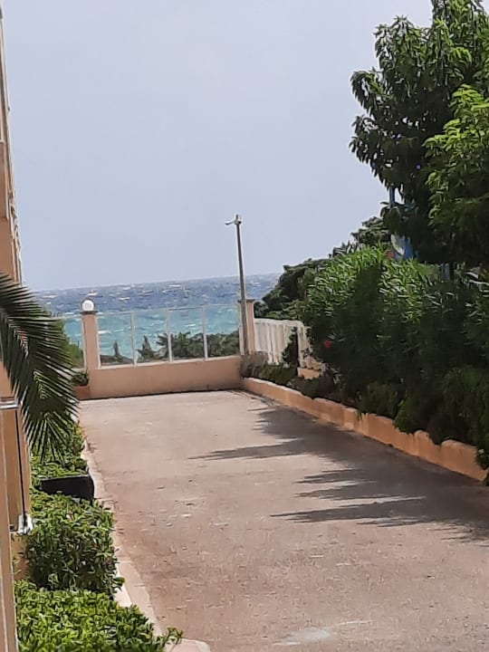 Ausblick Grupotel Alcudia Pins