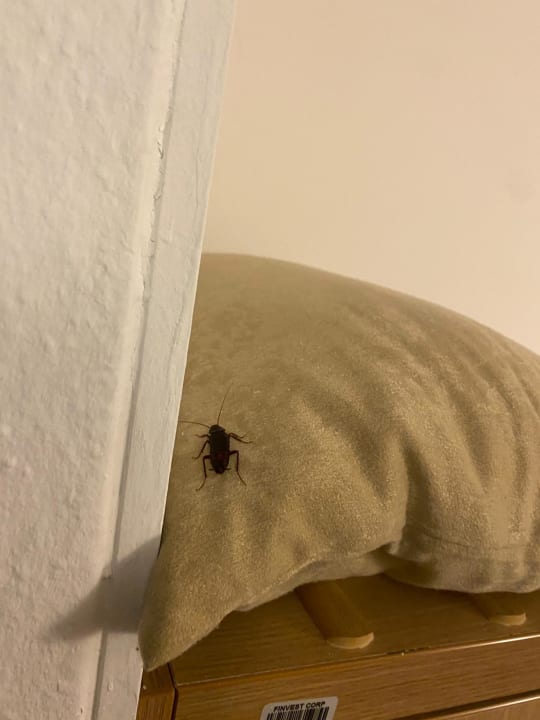 Zimmer Magal Maradiso Hotel by Aminess