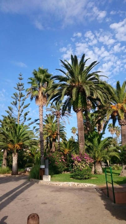 Garten Flipflop Cala Romantica