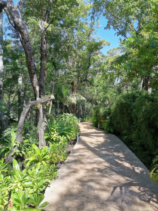 Gartenanlage Viva Heavens by Wyndham - All Inclusive Resort