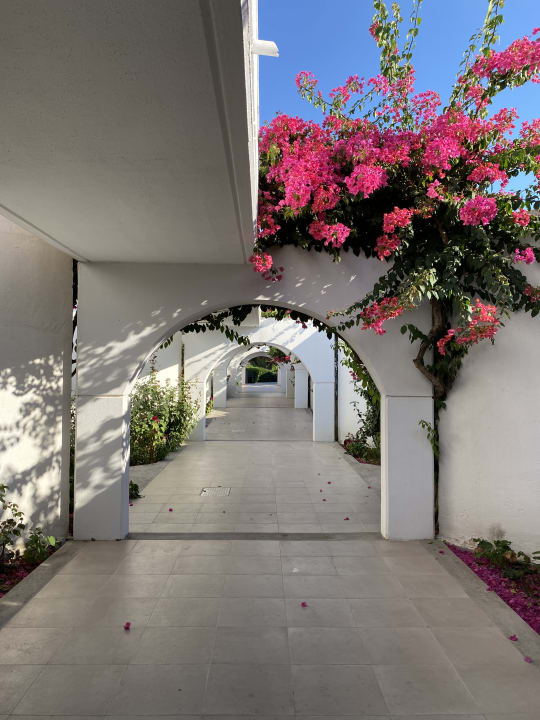 Außenansicht TUI KIDS CLUB Alex Beach