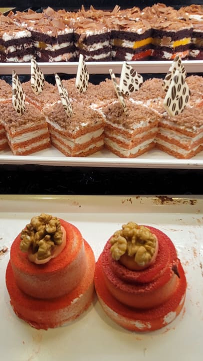 Gastro Papillon Ayscha