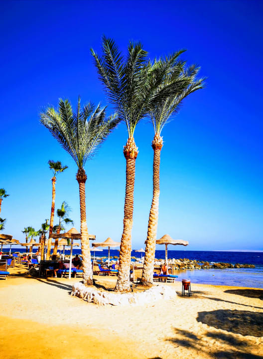 Strand Pickalbatros Citadel Resort