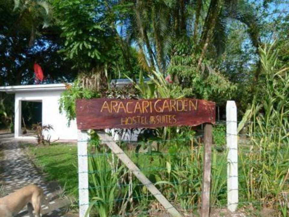 Eingang Aracari Garden Hostel