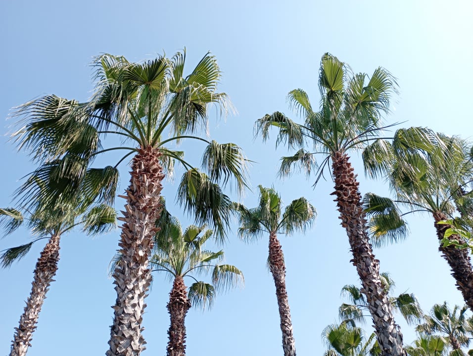 Gartenanlage Club Grand Aqua