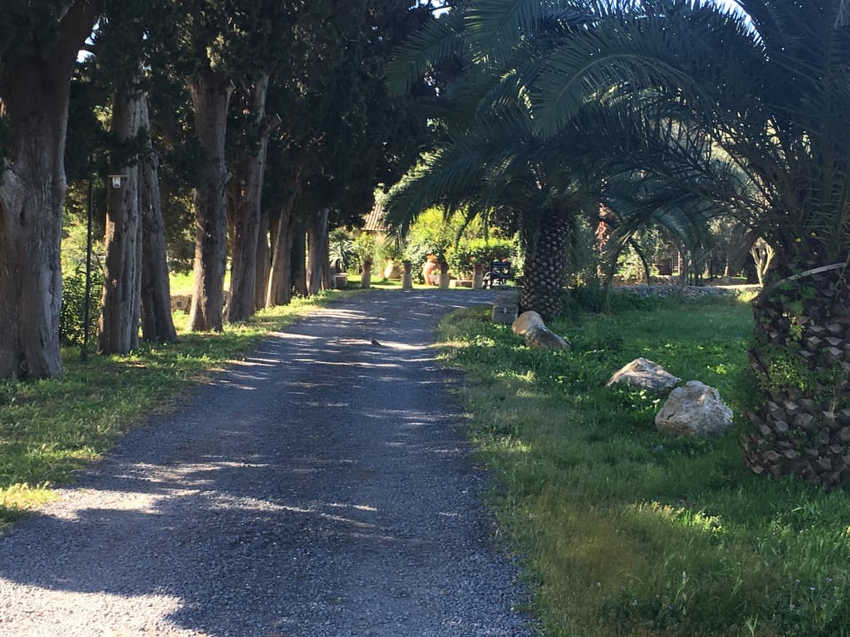 Außenansicht Agriturismo Villa dei Papiri