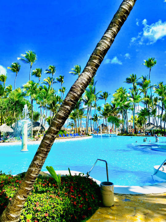 Pool Meliá Caribe Beach Resort-All Inclusive