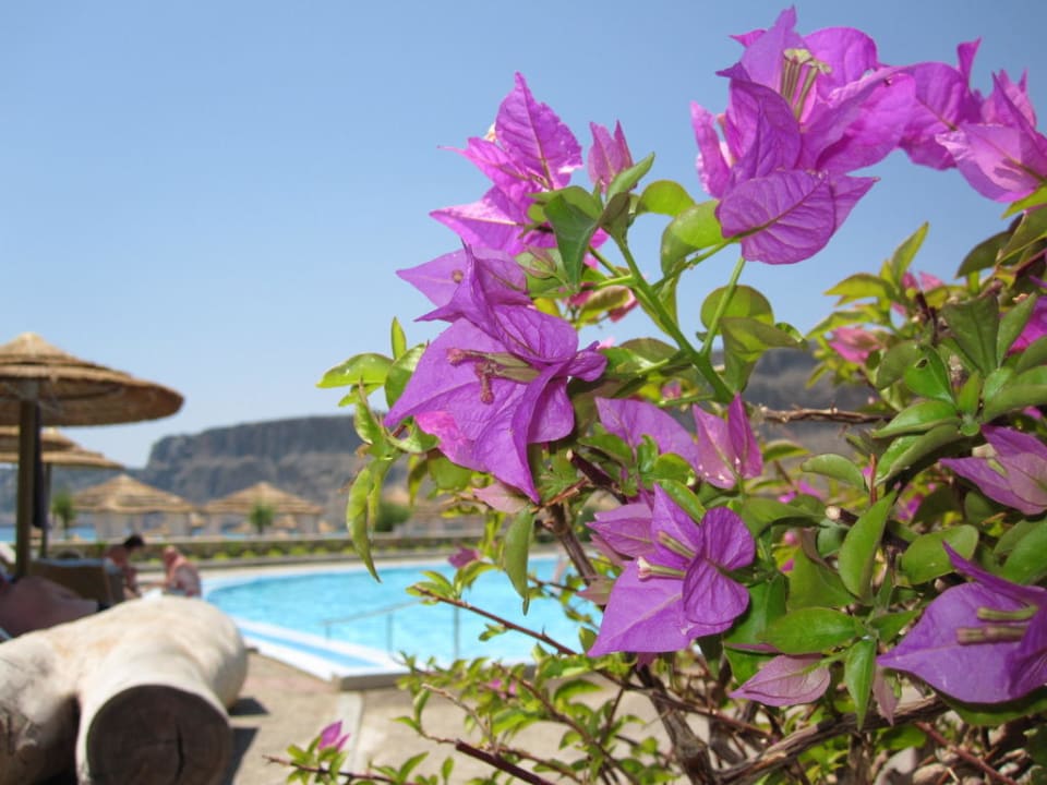 Meerwasserpool Aquagrand Artistic Luxury Beach Resort - Adults only